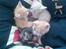 Huskat Mille >>Selvhenter<< - Mille´s 1. kuld killinger