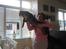 Maine Coon balbooms angelo