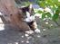 Huskat Frederik *R.I.P.* - Ude i haven..