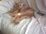 Maine Coon Ozzy - se min smukke hale :)