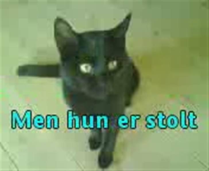 Huskat Pixi billede 4