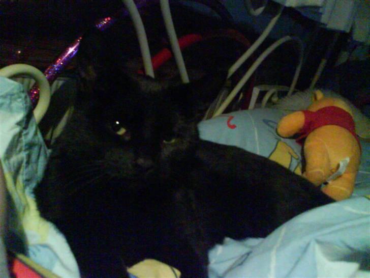 Huskat Pixi billede 6