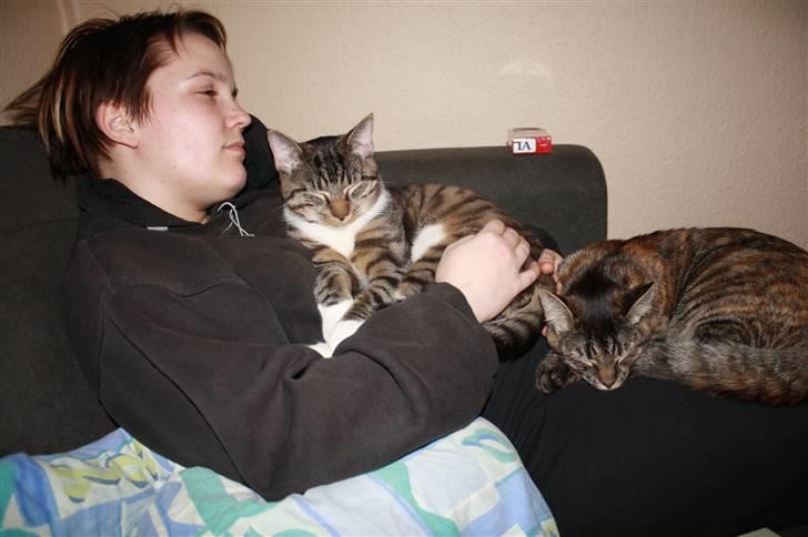 Blanding af racer Bella - Mig og min ven Samson ligger og for os en lur hos Samson´s mor(Heidi Pandrup T) Hun er vist osse træt billede 16