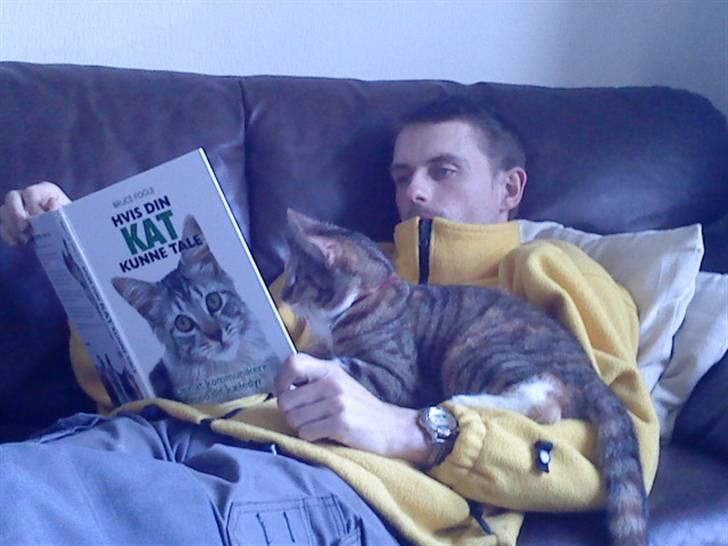 Blanding af racer Tiger *RIP* - Får lige seksual undervisning af far :) billede 2