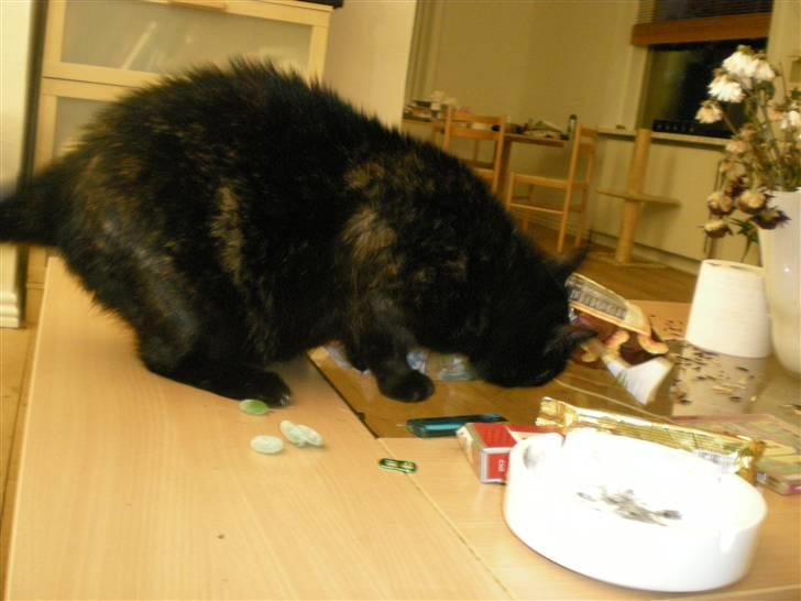 Blanding af racer plet - jeg tager lige en af dem her for jeg har ondt i halsen billede 9