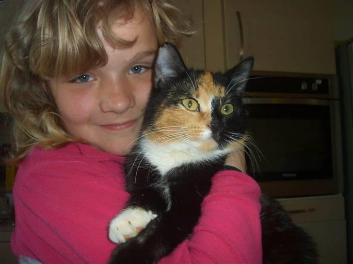 Blanding af racer MADONNA(Peter lundin) - Kælegrisen ! !     spørgsmålet er så bare : hvem af dem ?? billede 15