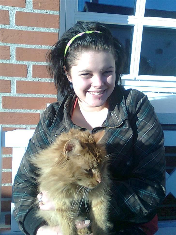 Blanding af racer tot <33  billede 9