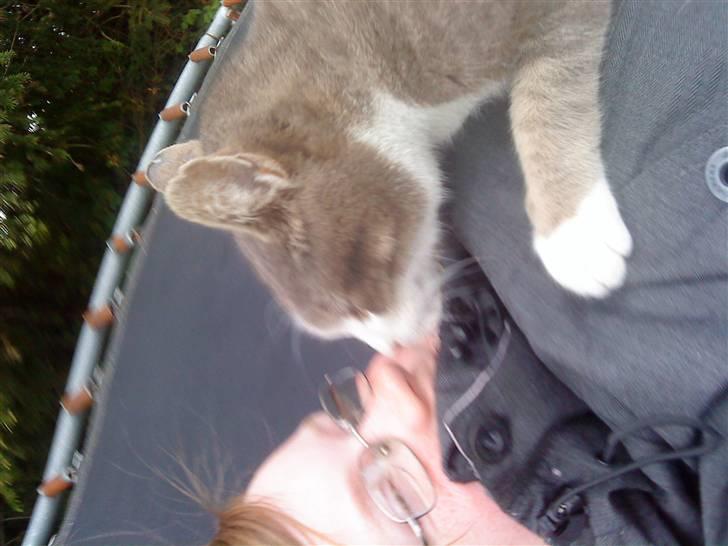 Huskat Missemor - Hygge på trampolinen :-) ( mig og Missemor) billede 2