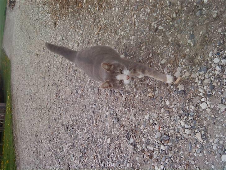 Huskat Missemor - Jeg kommer Julie! billede 3