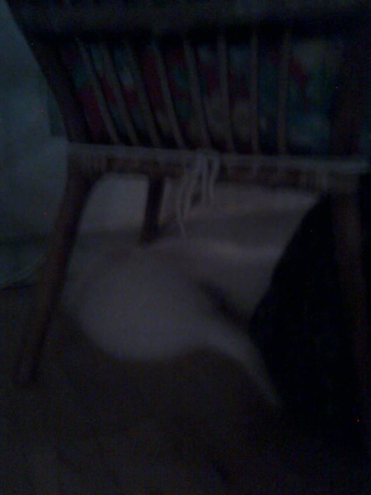 Huskat Nusser billede 8