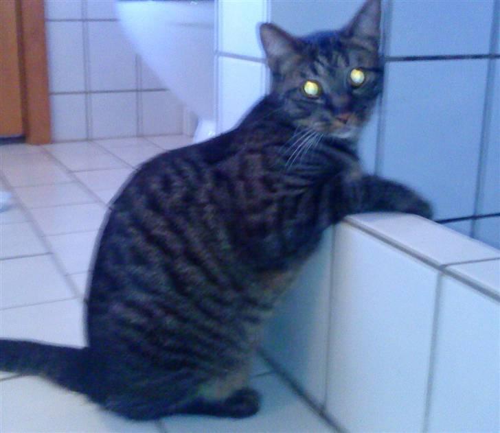 Huskat Mickey - Ej hvor jeg sidder godt. billede 6