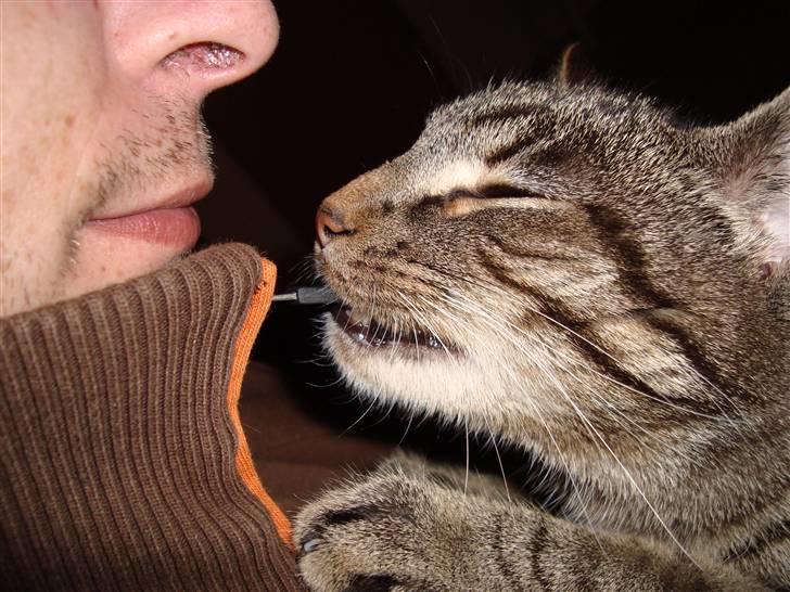 Huskat Tage billede 11