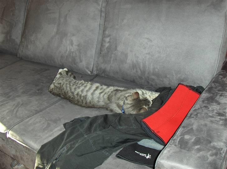 Huskat Klokke billede 7