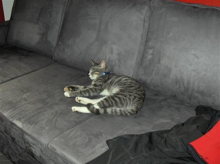 Huskat Klokke billede 8