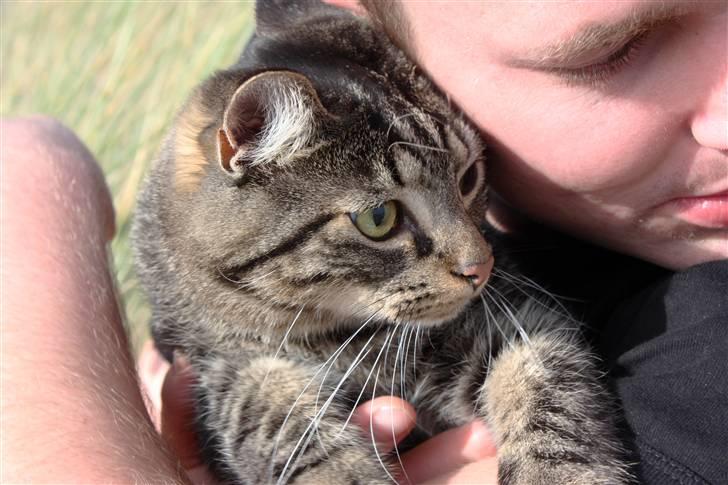 Huskat Hermione R.I.P min pige - 2008 - Hermione med på stranden. Får lige en krammer af min kæreste billede 13