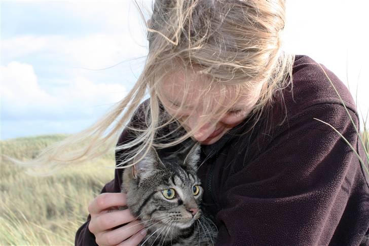 Huskat Hermione R.I.P min pige - Min lille dygtige pige *S* billede 16