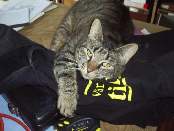 Huskat Marci - Bevar christiania!hehe billede 2