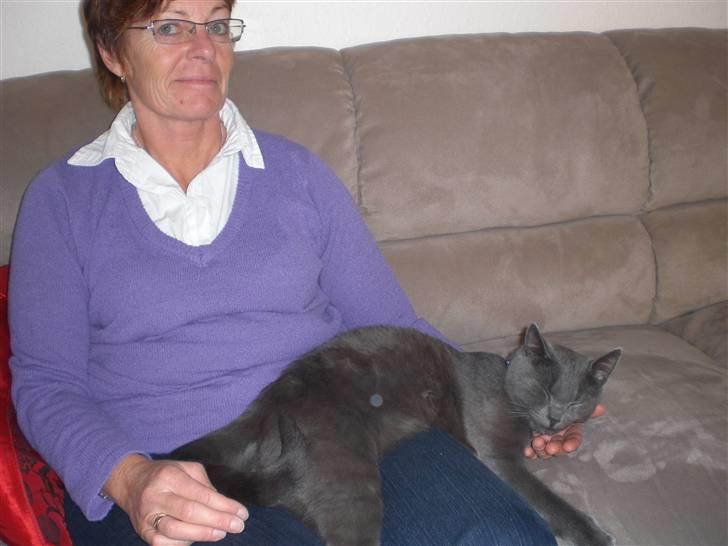 Huskat Harry billede 13