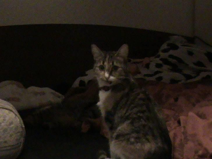 Huskat Noemi - Eeeh, taler du til mig?!? billede 16