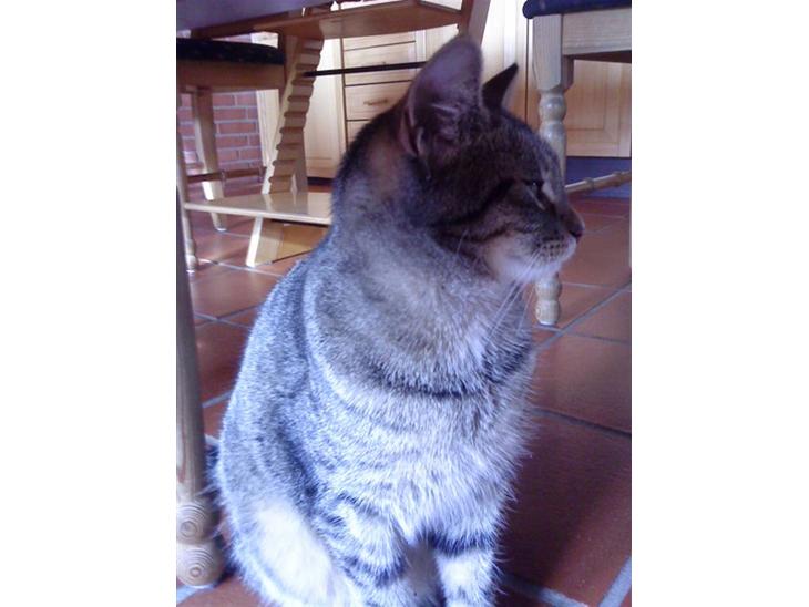 {{currentPhoto.altText}} billede {{currentPhoto.number}}