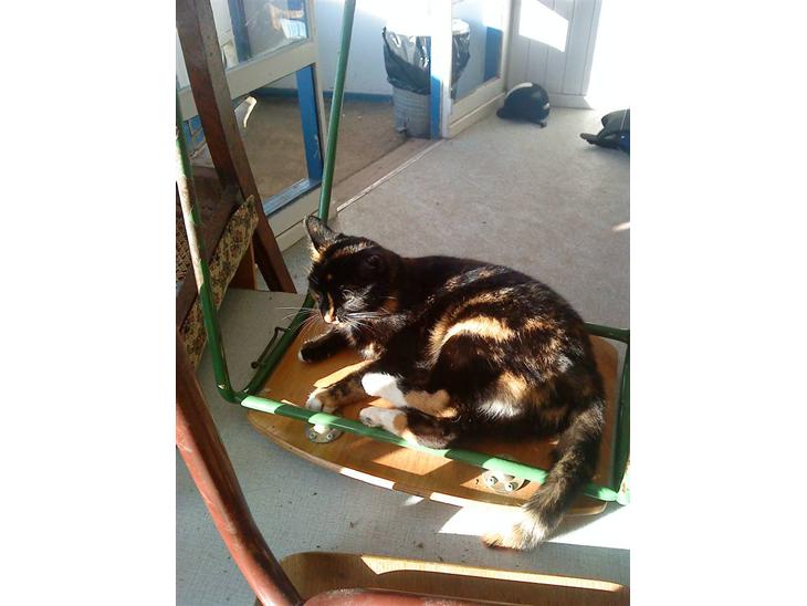 {{currentPhoto.altText}} billede {{currentPhoto.number}}