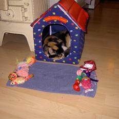 Blanding af racer coco