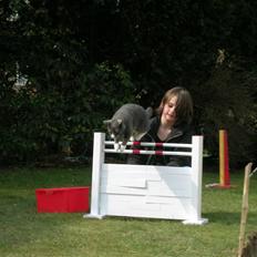 Huskat Toulouse