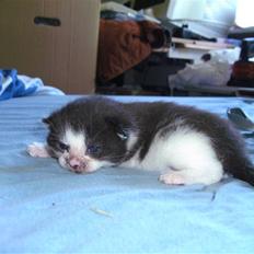 Huskat igen navn i nu