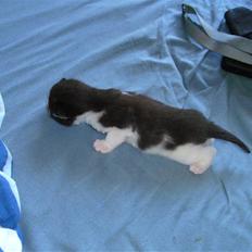 Huskat igen navn i nu