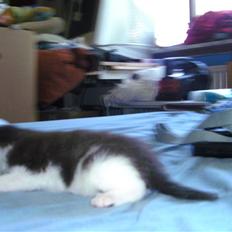 Huskat igen navn i nu