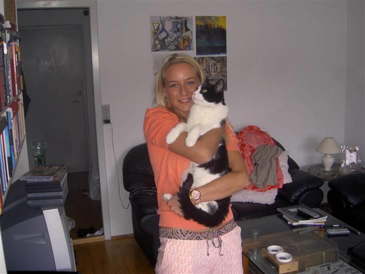 Huskat Albert billede 12