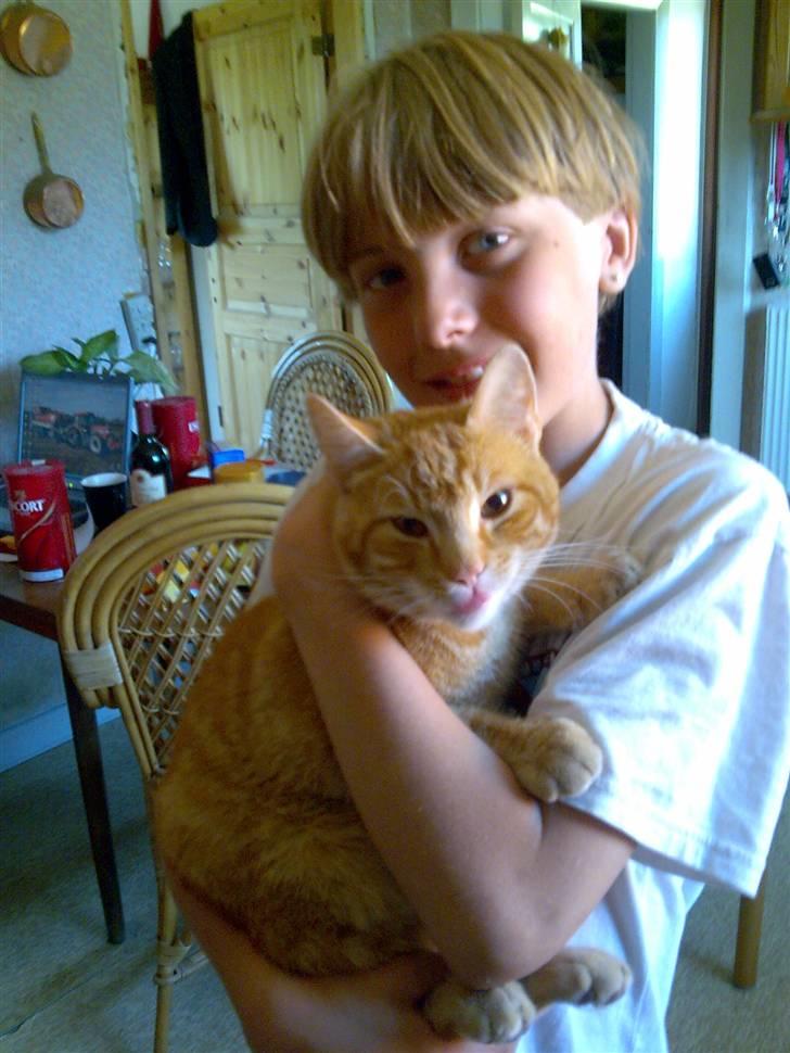 Huskat Laban Garfield Peter  billede 18