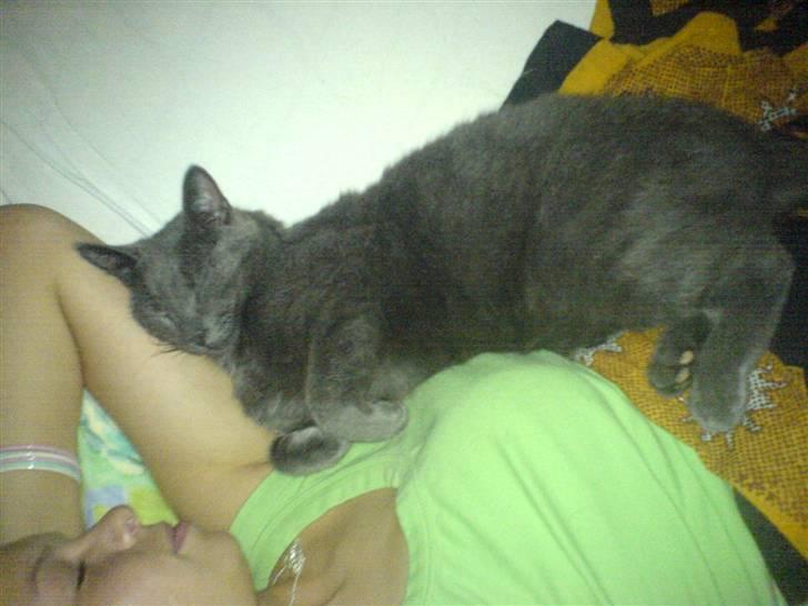 Blanding af racer Puzz død d. 30 okt. 06 - Sov hele natten hos min mor inden hun flyttede fra mig.. Ville bare gerne have hun blev hos mig.. billede 18