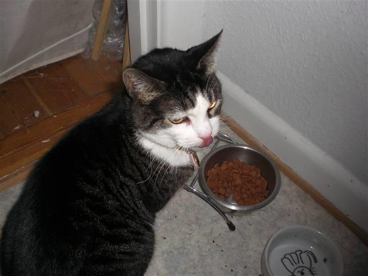 Huskat smila<3 billede 3