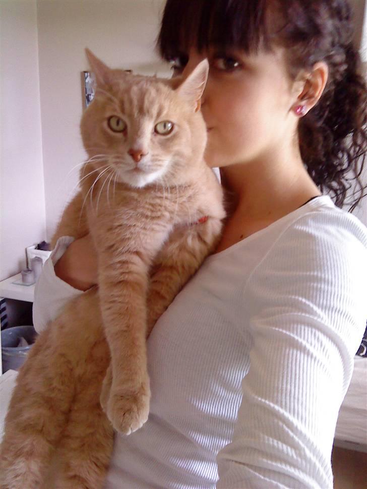 Huskat Semba - Jeg elsker min kat :-*  billede 18