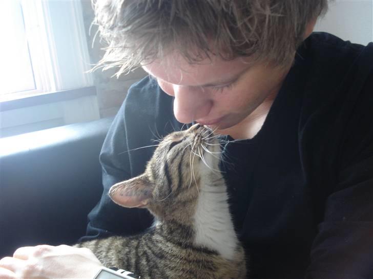 Huskat Putte billede 10