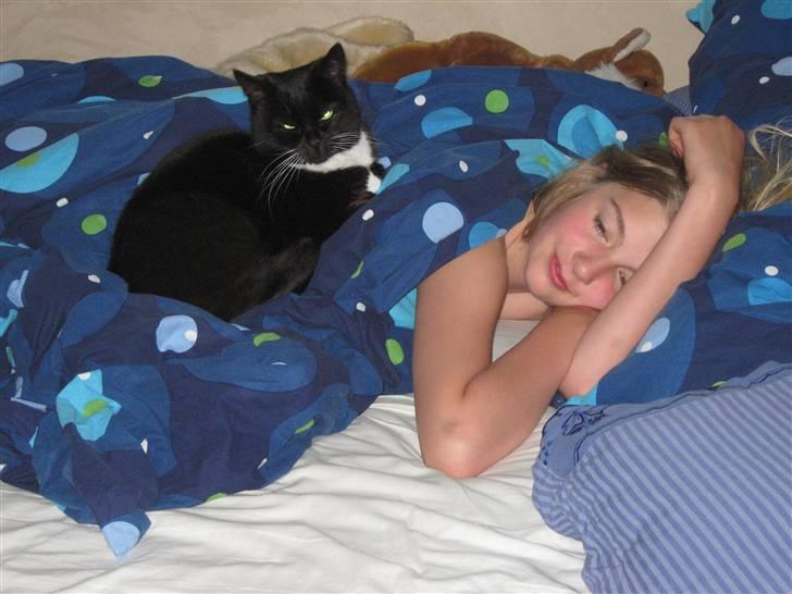 Blanding af racer Alfi billede 20