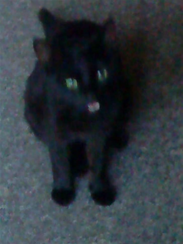 Huskat Pixi billede 12