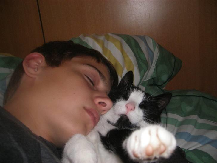 Huskat Speedy - Speedy og min bror billede 19