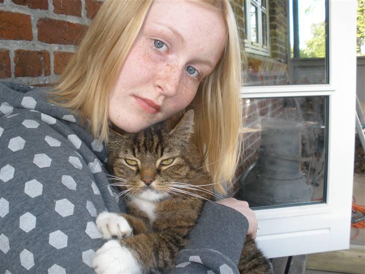 Blanding af racer Mister billede 9