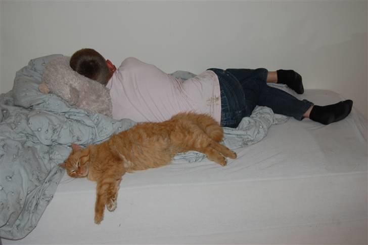 Blanding af racer Sønderstrands Reje - Reje og min fætter har kapret min seng ;)  billede 12