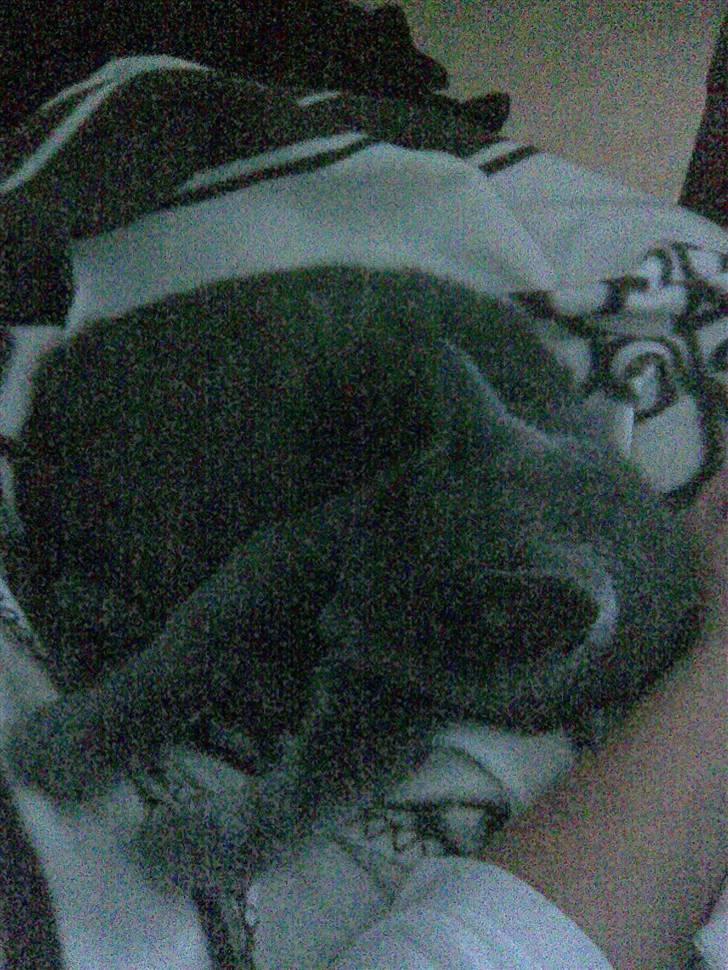 Blanding af racer gucci billede 16