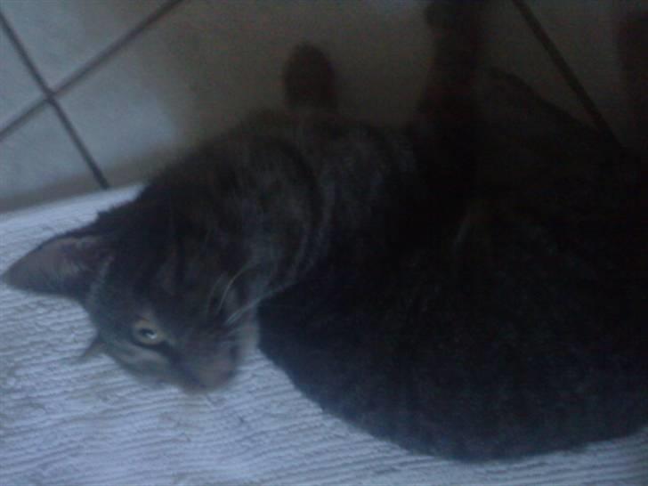 Huskat guffe(væk) billede 6