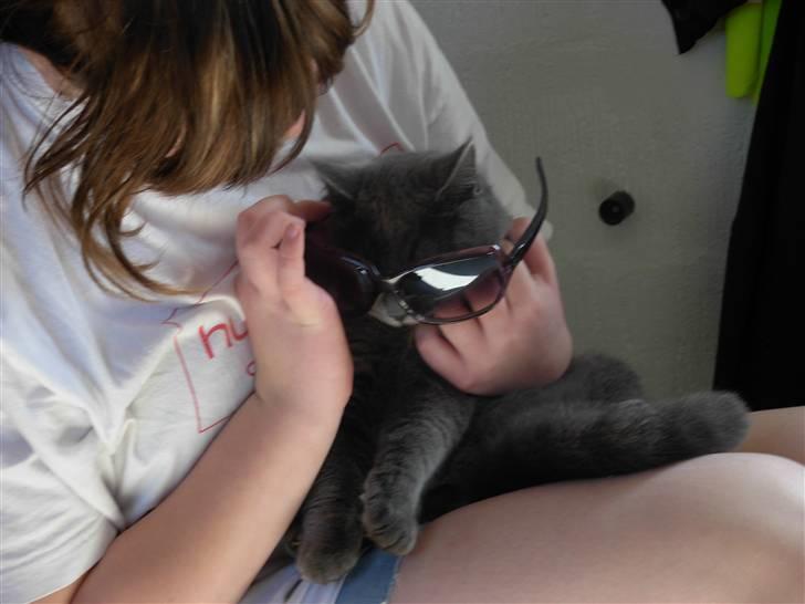 Blanding af racer pjevs billede 5