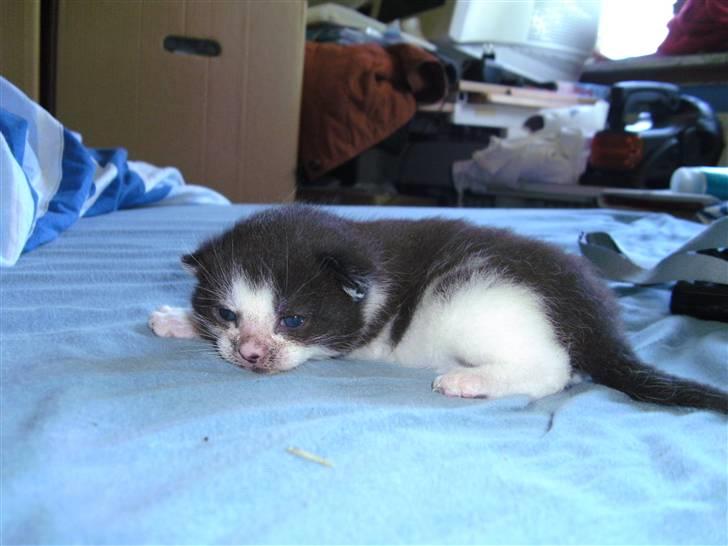 Huskat igen navn i nu billede 1