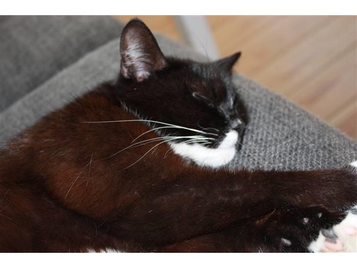 {{currentPhoto.altText}} billede {{currentPhoto.number}}