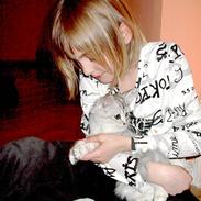Tyrkisk Angora jenka