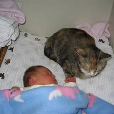 Huskat Honey <3 R.I.P