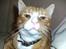 Huskat Michael R.I.P.