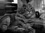 Maine Coon DK Amazing Paw´s Joey